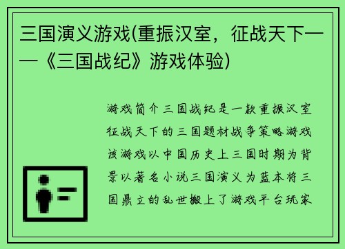 三国演义游戏(重振汉室，征战天下——《三国战纪》游戏体验)